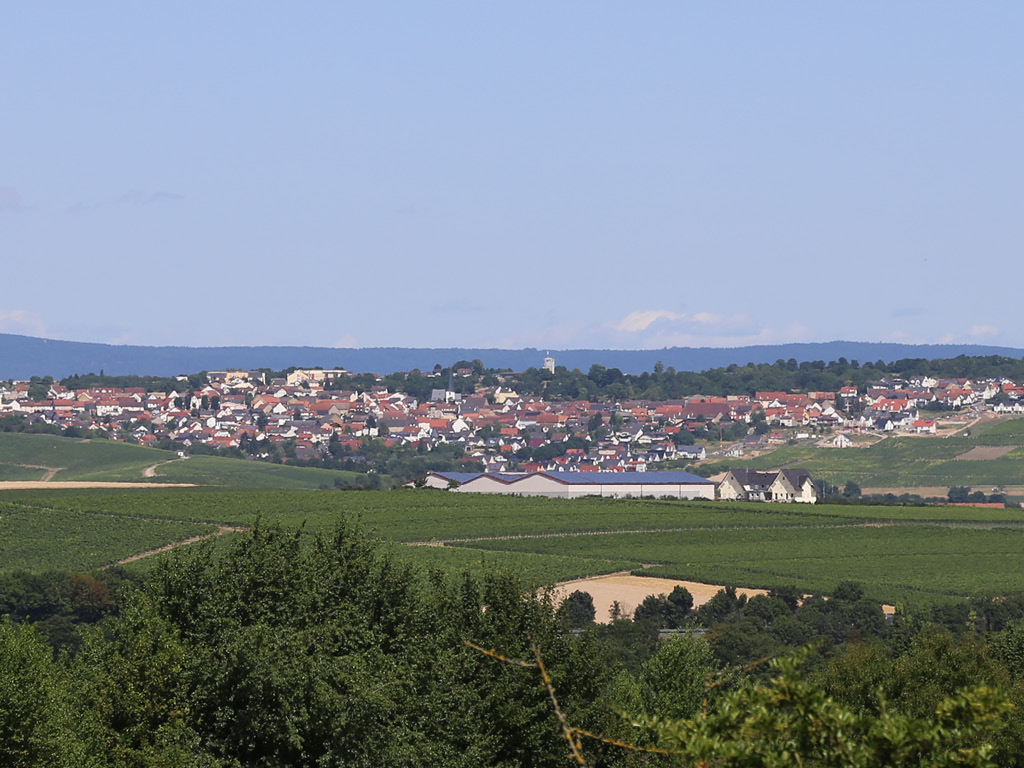 AZURIT Seniorenzentrum Sörgenloch (7) Bild